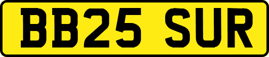 BB25SUR