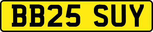 BB25SUY