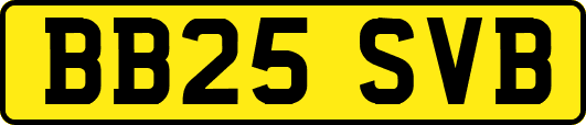 BB25SVB