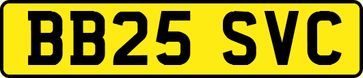 BB25SVC