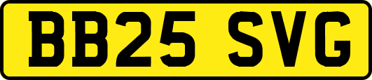 BB25SVG