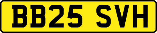 BB25SVH