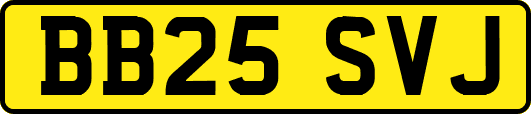 BB25SVJ