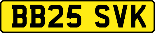 BB25SVK