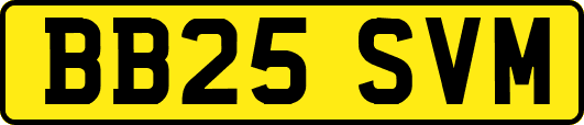 BB25SVM