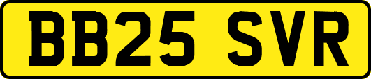 BB25SVR