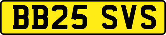 BB25SVS