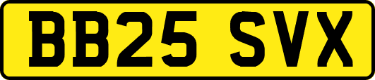 BB25SVX