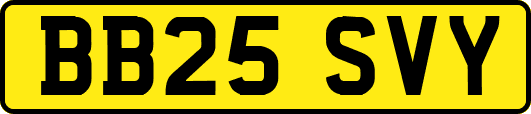 BB25SVY