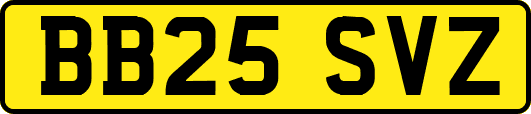 BB25SVZ