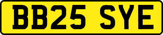 BB25SYE