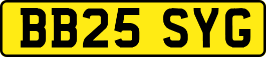 BB25SYG