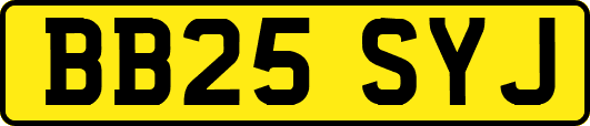 BB25SYJ