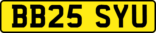 BB25SYU