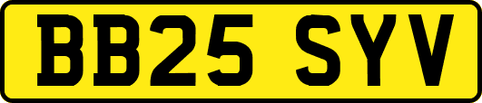 BB25SYV