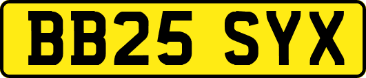 BB25SYX