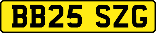 BB25SZG