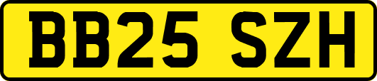 BB25SZH