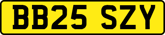 BB25SZY