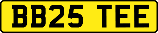 BB25TEE