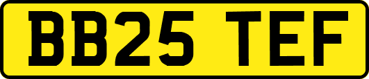 BB25TEF
