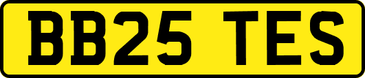 BB25TES