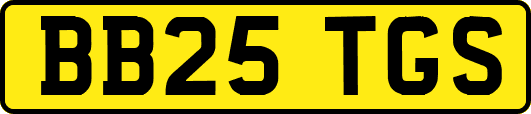 BB25TGS