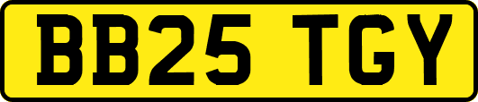 BB25TGY