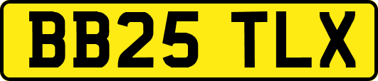 BB25TLX