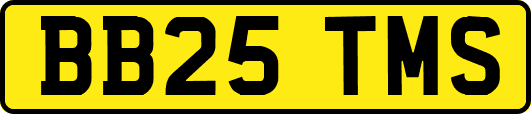 BB25TMS