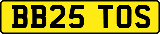 BB25TOS