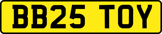 BB25TOY