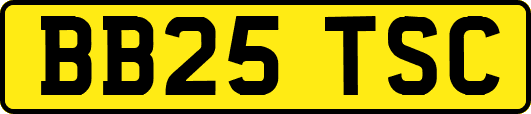 BB25TSC