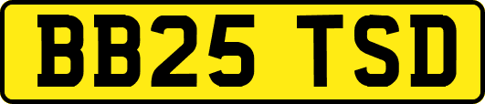 BB25TSD