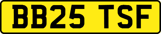 BB25TSF