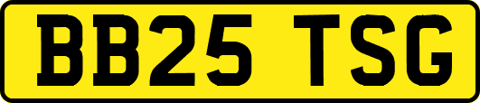 BB25TSG