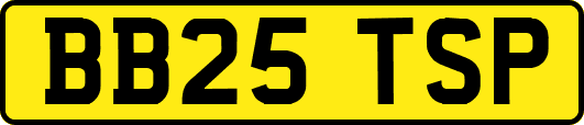 BB25TSP