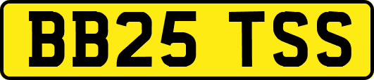 BB25TSS
