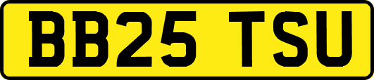 BB25TSU