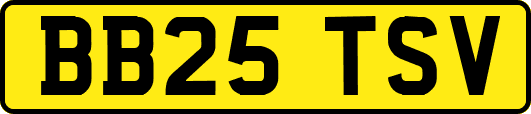 BB25TSV