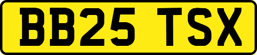BB25TSX