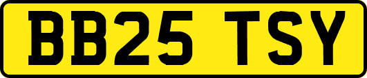 BB25TSY