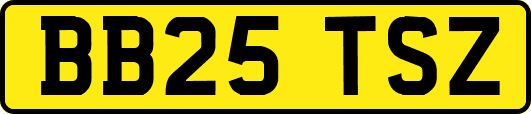 BB25TSZ
