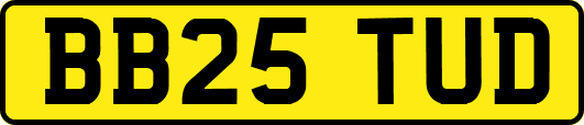 BB25TUD