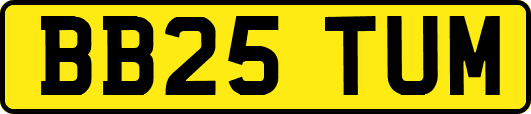 BB25TUM