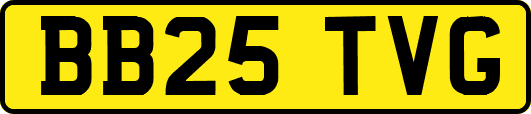 BB25TVG