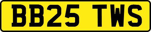 BB25TWS