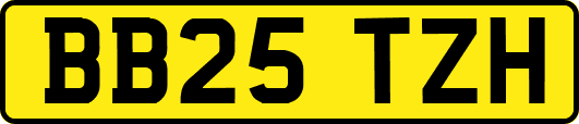 BB25TZH
