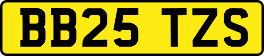 BB25TZS