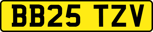 BB25TZV